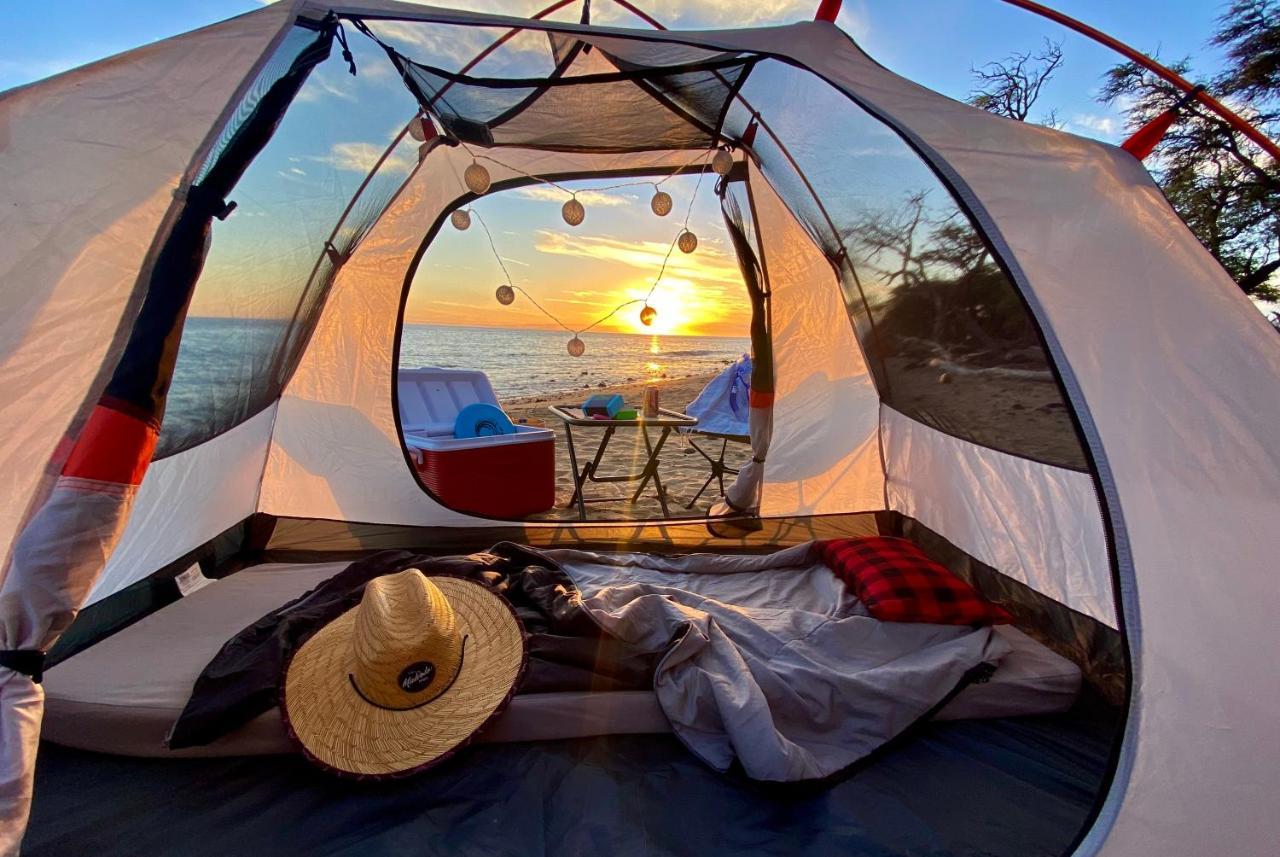 Epic Maui Car Camping カフルイ エクステリア 写真